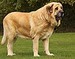 happy-5,2r,1m.jpg